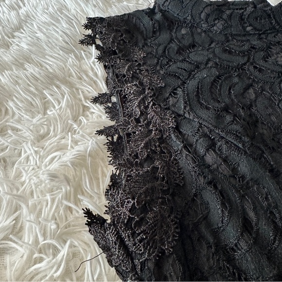 Francesca’s Black Lace Sleeveless Fit & Flare Dress Mini Dress Size Large - Picture 11 of 14